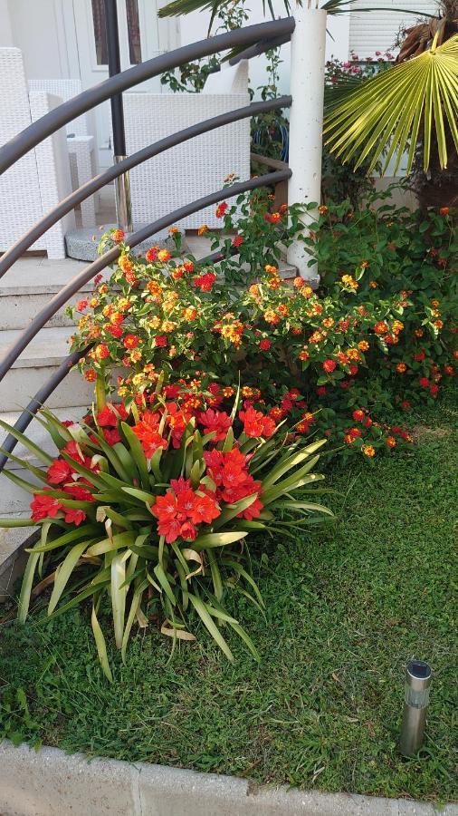 Apartments Tulipan - With Free Private Parking Garage モスタル エクステリア 写真