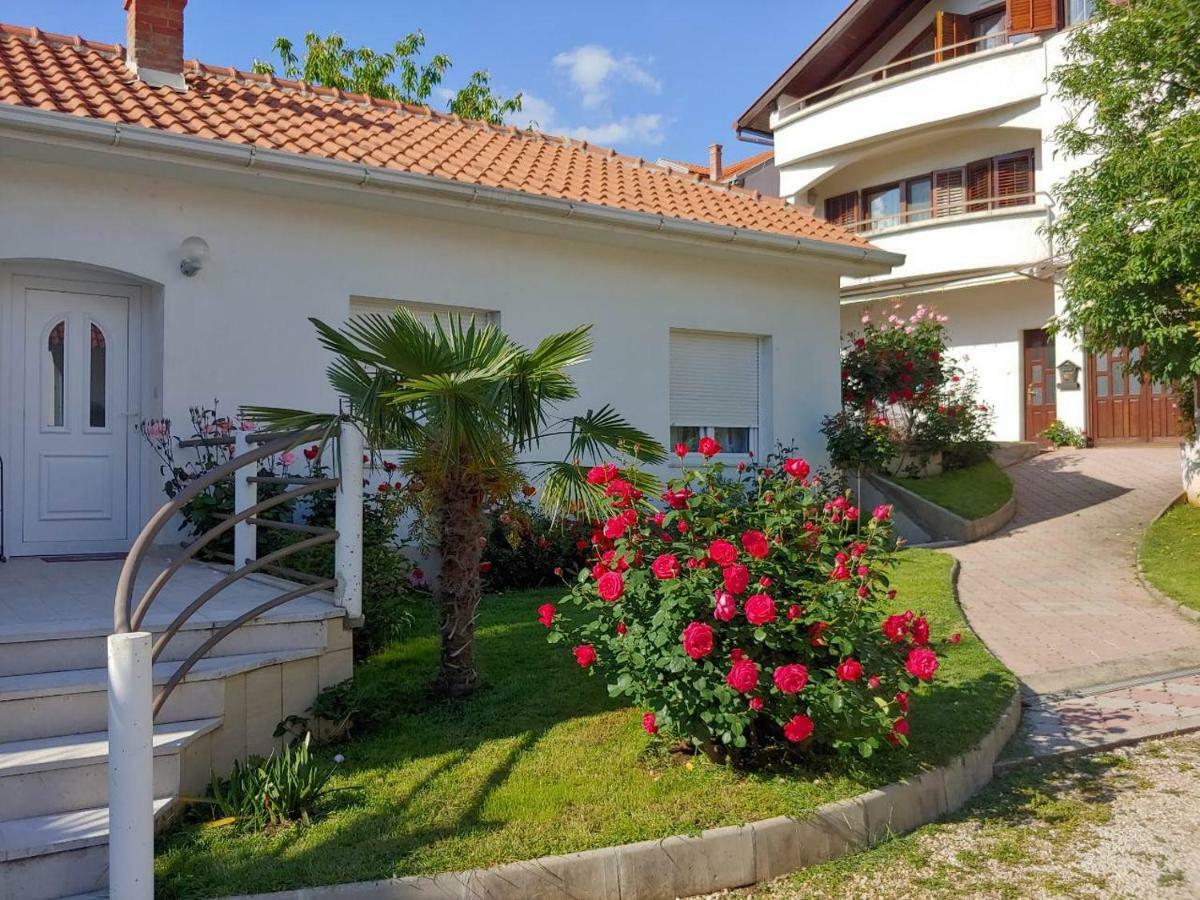 Apartments Tulipan - With Free Private Parking Garage モスタル エクステリア 写真
